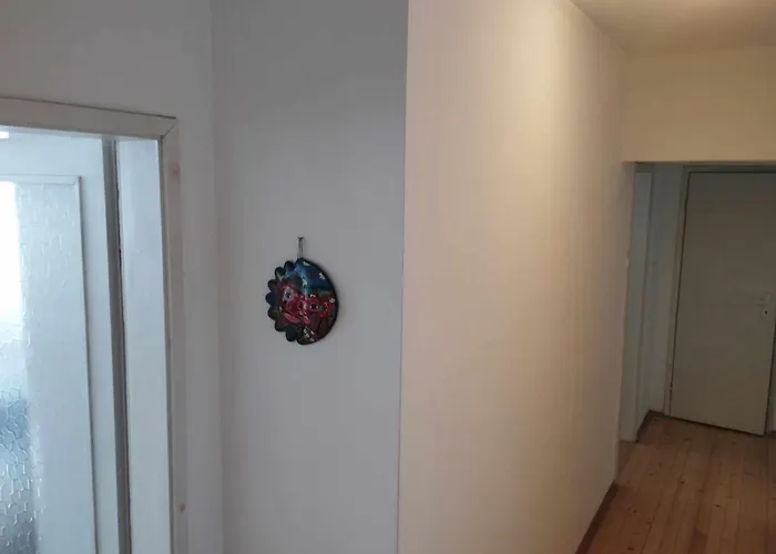 Flora * ブルガス